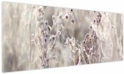 Mivali Tablou - Plante, dintr-o bucată 145x58 cm (V023815V14558)