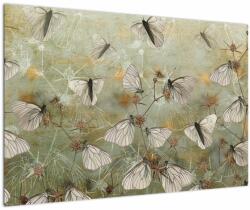 Mivali Tablou - Vintege fluturi, dintr-o bucată 90x60 cm (V022876V9060)