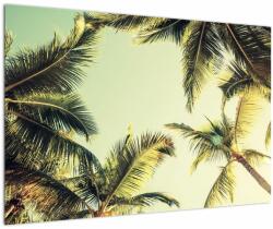 Mivali Tablou - Palmieri de cocos, dintr-o bucată 90x60 cm (V023328V9060)