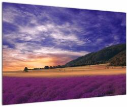 Mivali Tablou cu lunca cu lavandă, dintr-o bucată 90x60 cm (V022156V9060)