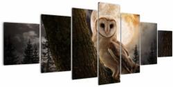 Mivali Tablou cu bufnița, din șapte bucăți 210x100 cm (V022174V210100)