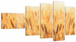 Mivali Tablou - câmp cu grâne, din cinci bucăți 110x60 cm (V022021V11060)