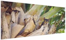 Mivali Tablou cu veverița în copaci, dintr-o bucată 250x125 cm (V021177V250125)