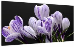 Mivali Tablou pe sticlă - Crocus violet, dintr-o bucată 100x50 cm pe sticlă (V022589V10050GD)