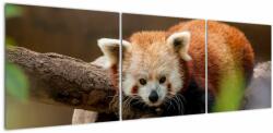 Mivali Tablou cu panda roșie, din trei bucăți 150x50 cm (V020184V15050)