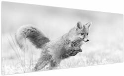Mivali Tablou - Vulpe care sare, alb-negru, dintr-o bucată 250x125 cm (V024128V250125)