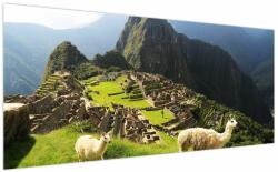 Mivali Tablou - Lame in Machu Picchu, dintr-o bucată 200x100 cm (V023803V200100)