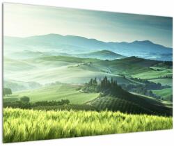 Mivali Tablou - Toscana, Italia, dintr-o bucată 90x60 cm (V023339V9060)