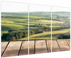 Mivali Tablou - Priveliște peisaj, din trei bucăți 120x80 cm (V023890V120803PCS)