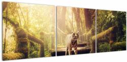Mivali Tablou cu tigrul în djunglă, din trei bucăți 150x50 cm (V020479V15050)