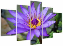 Mivali Tablou - Floare violet, din cinci bucăți 150x105 cm (V022431V150105)