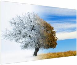 Mivali Tablou - Schimbarea anotimpurilor, dintr-o bucată 150x100 cm (V023329V150100)