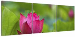 Mivali Tablou - floare de apă, din trei bucăți 120x40 cm (V020286V12040)