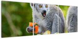 Mivali Tablou cu lemur, din trei bucăți 120x40 cm (V021127V12040)