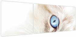 Mivali Tablou - Pisicuță, din trei bucăți 150x50 cm (V023746V15050)