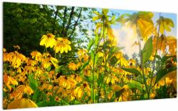 Mivali Tablou pe sticlă - Flori galbene, dintr-o bucată 100x50 cm pe sticlă (V022566V10050GD)