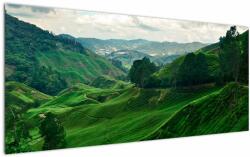 Mivali Tablou Plantații de ceai - Malaezia, dintr-o bucată 120x50 cm (V022493V12050)