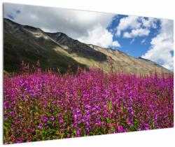 Mivali Tablou sceneriei cu lunca montană, dintr-o bucată 120x80 cm (V021604V12080)