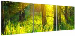 Mivali Tablou - Trezirea de primăvară a pădurii, din trei bucăți 150x50 cm (V022484V15050)