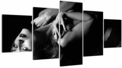 Mivali Tablou - Portretul femeii în lenjerie intimă, din cinci bucăți 150x80 cm (V023494V150805PCS)