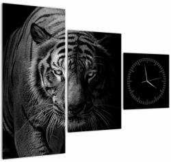 Mivali Tablou - Tigru sălbatic (cu ceas), din trei bucăți 90x70 cm cu ceas (V023059V9070C)
