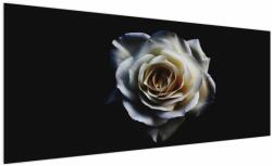Mivali Tablou cu trandafir alb, dintr-o bucată 250x125 cm (V020370V250125)