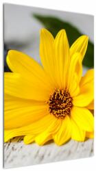 Mivali Tablou cu floare galbenă, dintr-o bucată 60x90 cm (V020952V6090)