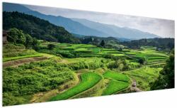 Mivali Tablou cu câmp de orez, dintr-o bucată 250x125 cm (V020271V250125)