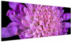 Mivali Tablou detailat cu floare, dintr-o bucată 145x58 cm (V020318V14558)