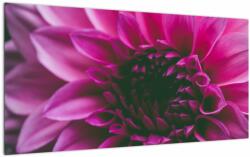 Mivali Tablou pe sticlă cu floarea roz, dintr-o bucată 100x50 cm pe sticlă (V020010V10050GD)
