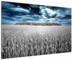 Mivali Tablou cu câmp, dintr-o bucată 120x80 cm (V022278V12080)
