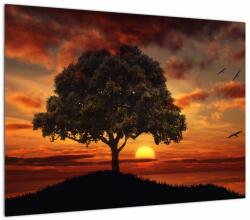 Mivali Tablou cu pomi și apus de soare, dintr-o bucată 70x50 cm (V022122V7050)