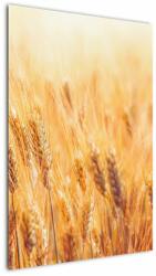 Mivali Tablou - câmp cu grâne, dintr-o bucată 60x90 cm (V022021V6090)