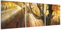 Mivali Tablou - Lumina de toamnă, din trei bucăți 120x40 cm (V023856V12040)