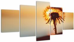 Mivali Tablou - Păpădie la apus de soare, din cinci bucăți 150x80 cm (V022567V150805PCS)