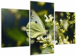 Mivali Tablou cu fluture, din trei bucăți 90x60 cm (V021360V90603PCS)