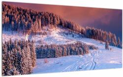 Mivali Tablou pe sticlă - Peisaj de iarnă, dintr-o bucată 100x50 cm pe sticlă (V023219V10050GD)