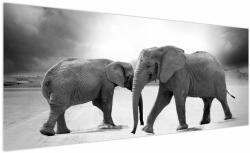 Mivali Tablou cu elefanți, dintr-o bucată 250x125 cm (V020900V250125)