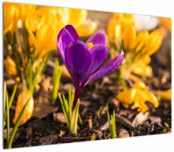 Mivali Tablou cu floare violetă, dintr-o bucată 100x70 cm (V020341V10070)