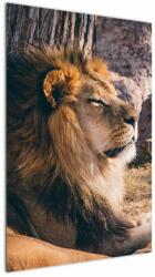 Mivali Tablou cu leul dormind, dintr-o bucată 60x90 cm (V021249V6090)