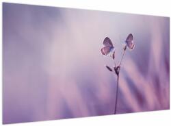 Mivali Tablou - Fluturi mov, dintr-o bucată 120x70 cm (V023913V12070)