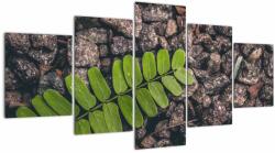 Mivali Tablou cu planta verde, din cinci bucăți 150x80 cm (V020371V150805PCS)