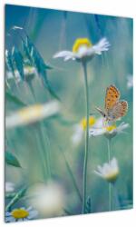 Mivali Tablou - Fluture pe margaretă, dintr-o bucată 50x70 cm (V023330V5070)