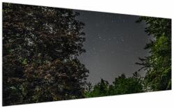 Mivali Tablou cu cerul nocturn, dintr-o bucată 200x100 cm (V020998V200100)