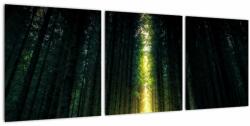 Mivali Tablou cu pădurea întunecată, din trei bucăți 90x30 cm (V020705V9030)