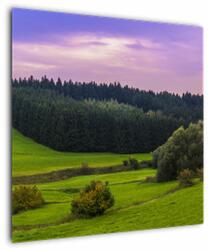 Mivali Tablou cu lunca, dintr-o bucată 70x70 cm (V020343V7070)