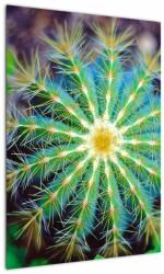 Mivali Tablou cu cactus, dintr-o bucată 50x70 cm (V020556V5070)