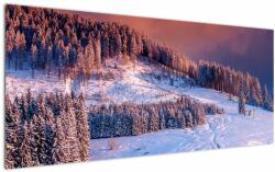 Mivali Tablou - Peisaj de iarnă, dintr-o bucată 120x50 cm (V023219V12050)