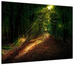 Mivali Tablou pe sticlă cu poteca prin pădure, dintr-o bucată 70x50 cm pe sticlă (V020253V7050GD)