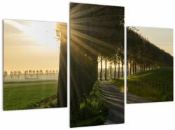 Mivali Tablou cu alee, din trei bucăți 90x60 cm (V020850V90603PCS)